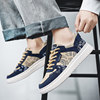 2025 New Men's Shoes Winter Breathable Canvas Shoes Men's Low-Top Trendy Versatile Student Lace-Up Casual Sports Sneakers