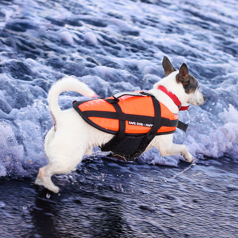 Pet Life Dog Professional Buoy