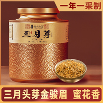 March bud Jinjunmei black tea special authentic strong flavor gift box can bulk Wuyishan Jinjunmei 500g