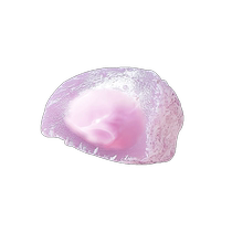 Exploding milk puffs taro flavored snow meiniang glutinous rice dumplings with mochi filling bread pastries snacks