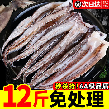 Sf express! extra large squid tentacles fresh 5a commercial 0 additions