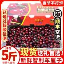 Chile cherry gift box 5 pounds 4J big fruit import cherry fresh pregnant woman fruit 10 whole box SF air freight
