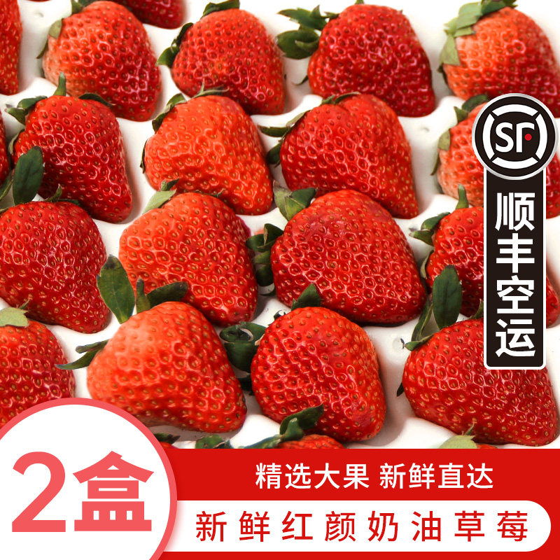 Fresh red face strawberry 2 boxed selected large fruit sweet strawberry red face cream strawberry fresh fruit Shunfeng airlift