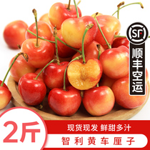 Chilean Yellow Cherry Rainier Gold Cherry Big Fruit Import Yellow Cherry Fresh Fruit SF Air Freight