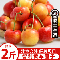 Spot Chilean gold cherries Rainier cherries large fruits imported yellow cherry fresh fruit SF air freight