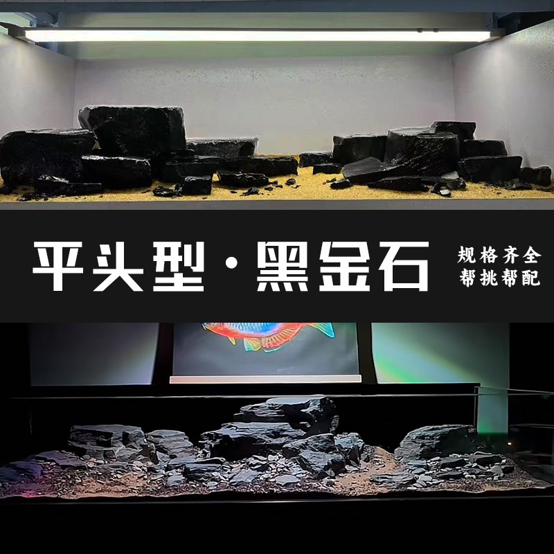 ブラックゴールドストーン水槽造園キャニオンウィンドフラットヘッドウィンドタートルサンテラスフラットヘッドストーンストリームタンクストリームストーンアクアリウム