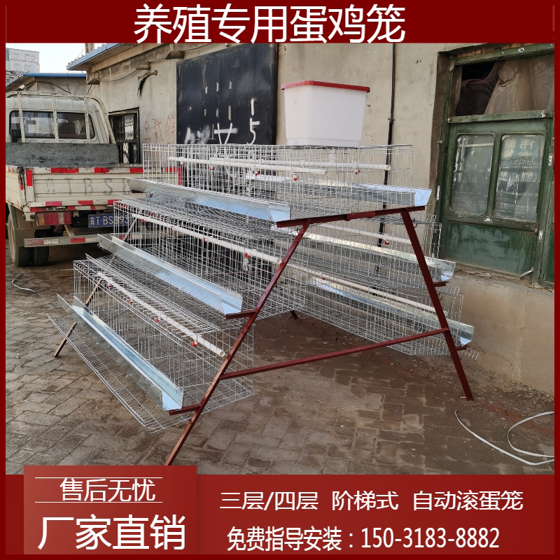 Farm Egg Cage Three-layer Automatic Rolling Chicken Cage Household Hen Layer for Egging Staircase