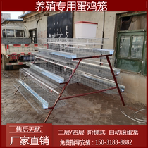 Farm laying hen cage three-layer four-layer automatic laying hen cage home hen egg special cage ladder type