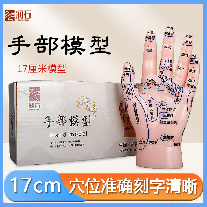 润石手模型反射区穴位按摩模型小儿推拿手部清晰刻字经络中医教学