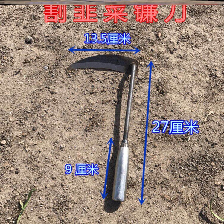 Full steel chain knife dig wild vegetable knife cut wheat with grass, clean knife and sickle, sharp and durable wooden handle garden small knife