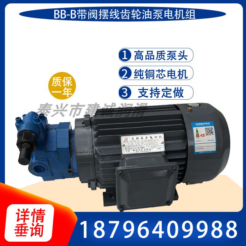 BB-B25YJZ B16YJZ-1 cycloidal oil pump motor unit BB-B32Y B6 B10YJZ-1 Shanghai Donggao 1