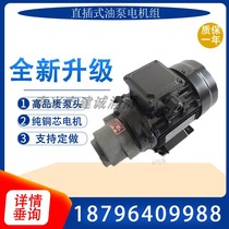 CBW-B2 5 CB-B4 CB-B6JZ CB-B10JZ sawing machine gear oil pump motor three-phase 550W 370W