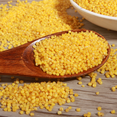 东北农家自产小米粥小黄米五谷杂粮养胃黄小米新米1kg月子米