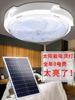[Yoyo]Indoor Ceiling Light, Factory Clearance, Act Fast before It's Gone.