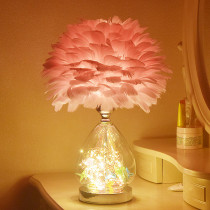 Feather Table Lightroom Lights Simply Modern Nordic Intelligent Romantic Birthday Gift Wedding Feather Bed Red Bed Light