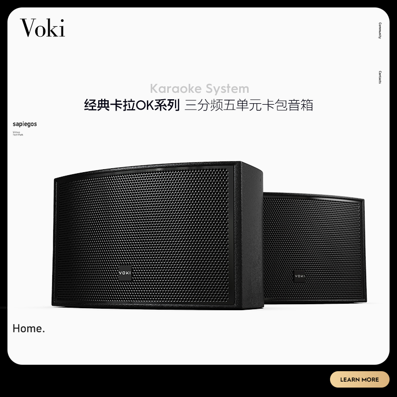 VOKI SP100 professional karaoke speaker KTV audio 10 inch passive family three-way home K song
