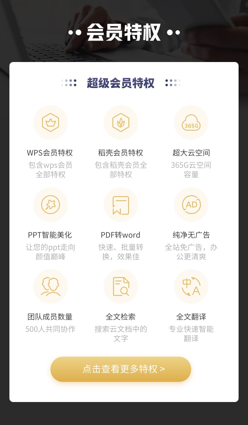 超级会员 8 元/月:WPS 双 11 狂促速囤 超级会员特权.jpg