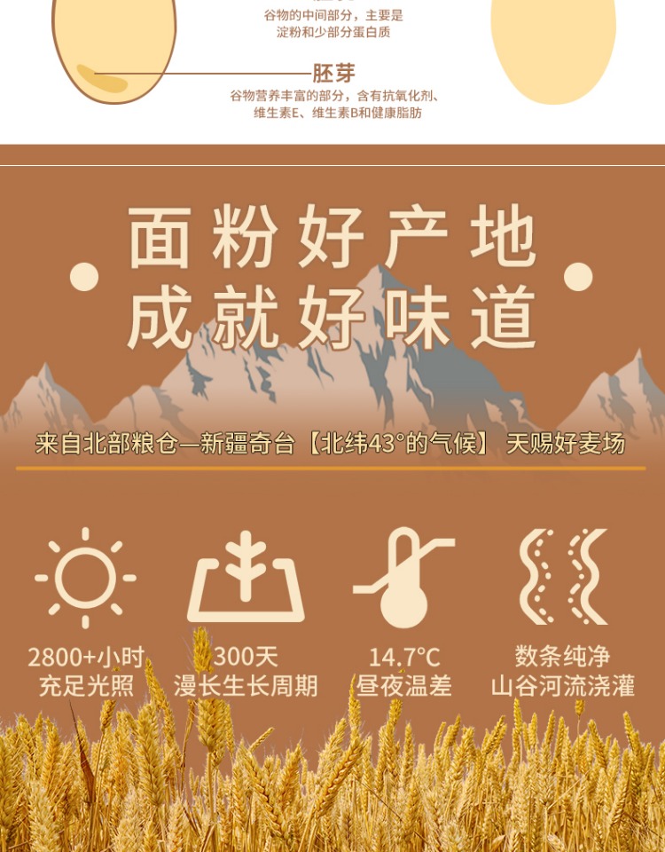 地理标志产品  塞上星 特制一等新疆高筋全麦面粉 5kg 图3