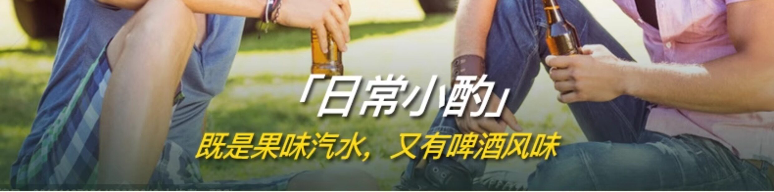 安享好物 安享B级碳酸饮料-广氏菠萝啤汽水 国标 