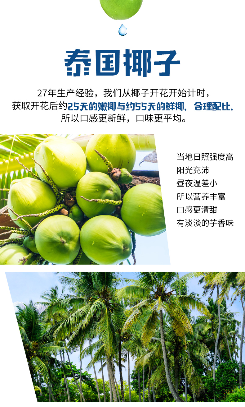 泰国进口 果满乐乐 100%纯椰子水 1L*4瓶 0脂低能量 图3