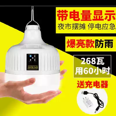Charging bulb large wattage living room bulb night light battery led with remote control mobile wireless fishing flying saucer