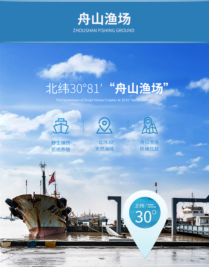 东海舟山野生墨鱼 2斤 4-6只 鲜活冷冻 图2