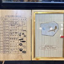 Fine Liaoxi paleontology wolf fin fish single fish folio fish fossils Solid wood box mounted natural non-modified fish fossils