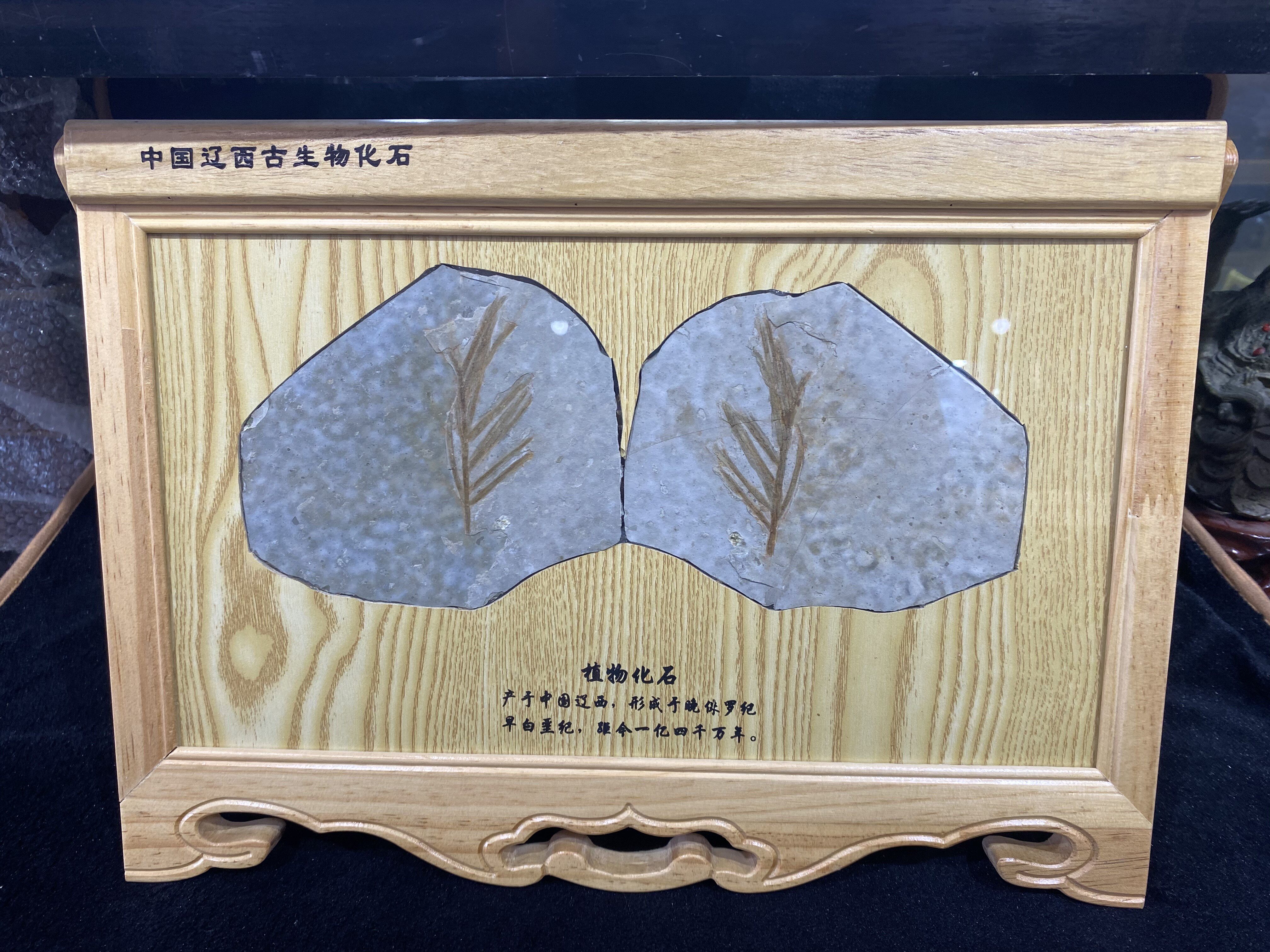 Liaoxi Chaoyang Paleontological Fossil Plant Fossil Boutique Fish and Grass Original State Solid Wood Home Decoration