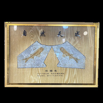 Liaoxi paleontology wolf fin fish fossil folio Exquisite solid wood framed boutique gift box Gift collection