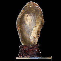 Medium-sized Liaoxi Chaoyang North ticket West Official boutique wood Yushu jade home decoration ornamental stone to run