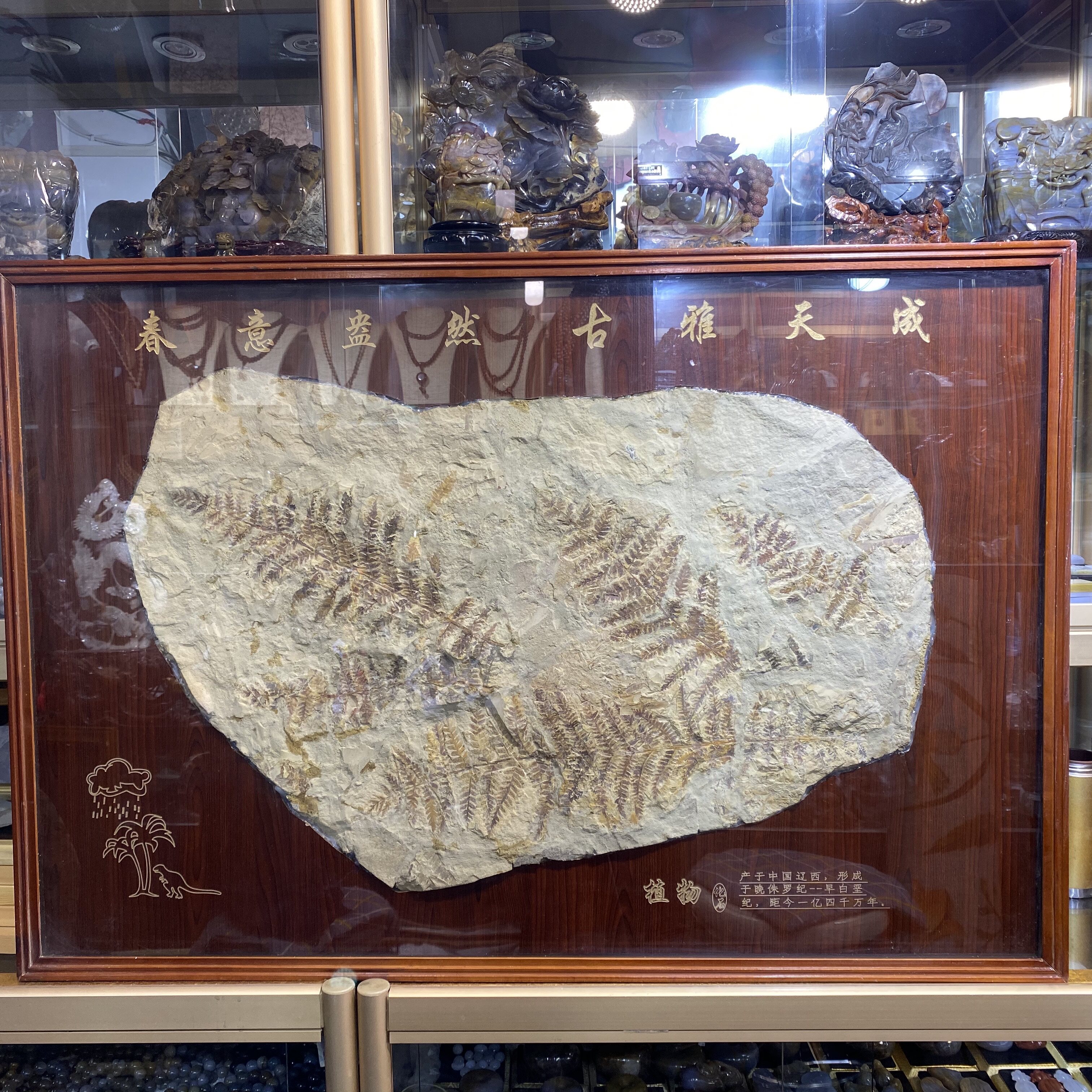 Plant fossil Liao West North Ticket Ancient bio-fish insect fossil solid wood mounting-Taobao