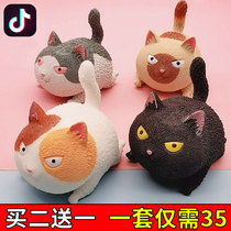 Shake-up 2021 mesh red decompression knead Angry Cat Toy Girls Boys Adults Knead Knead Pressure Decompressor