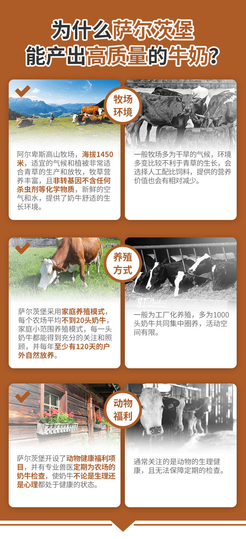 奥地利进口 萨尔茨堡 巧克力牛奶 200ml*12盒 图3