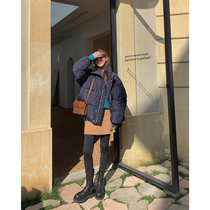 White water female wool a-line skirt womens spring and autumn new Korean version of the wild bag hip thin high waist short skirt