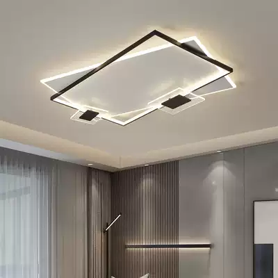 House 2021 New Net red living room main light Hall bedroom room black white gray Minimalist Japanese high end ceiling