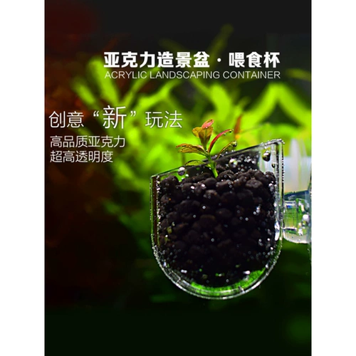 Рыба -аквариум многофункциональный красно -червячный чашка фенннских креветок для лечения небольшой рыба