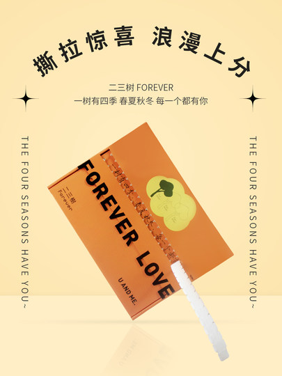 二三树Forever送男朋友生日礼物袜子礼盒纯棉中筒袜纪念日周年