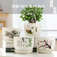 Четыре среднего размера весны, лето, осень и зима