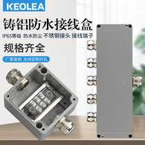 Outdoor waterproof junction box with terminal Aluminum alloy terminal box Cast aluminum rainproof box Power distribution line sealing box