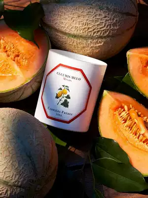 Carriere Freres French botanist scented candles soothe the mourn CF gift cire trudon