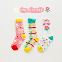 Z325 Группа б