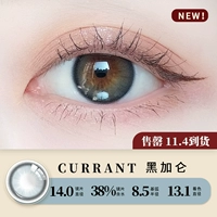 [Черное кольцо] 104 черная галлонная смородина