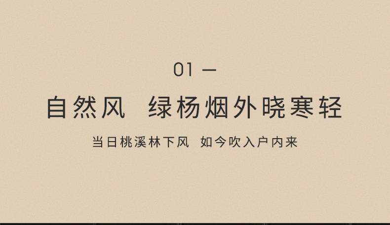 夏人 台式静音空气循环扇 7米超远送风 图2