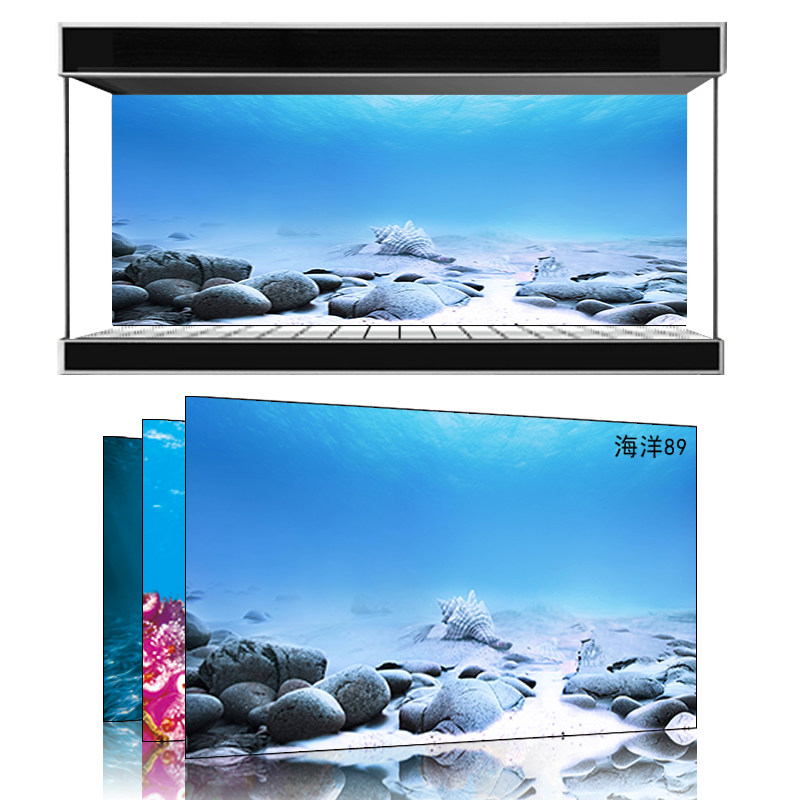 Beauty Favorite to Do Fish Tank Background Marine Seabed World One Meter Sunshine Seawater Fish Tank Mural High-definition 3d