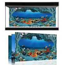 Beauty pet exhibition custom fish tank background Ocean Underwater World one rice sunshine sea fish tank mural HY1103