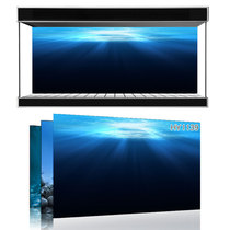 Beauty pet exhibition custom fish tank background Ocean Underwater World one metre sunshine seawater fish tank mural HY1139