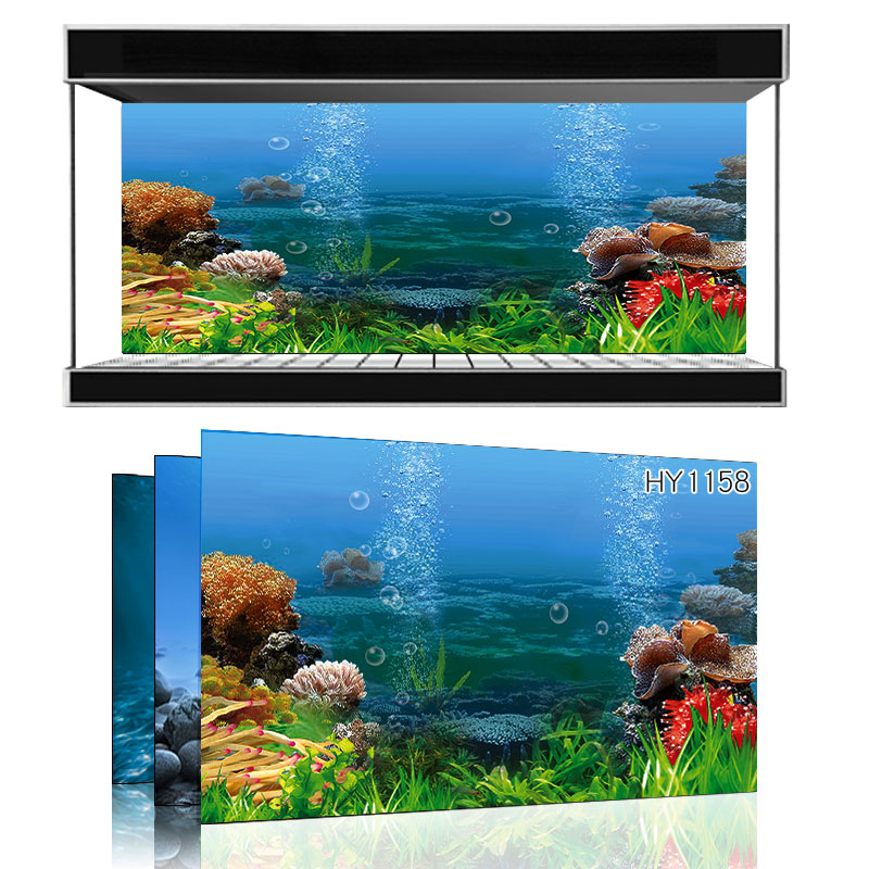 Beauty pet exhibition custom fish tank background ocean underwater world one meter sunshine sea water fish tank mural HY1158