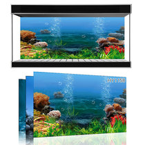 Beauty pet exhibition custom fish tank background Ocean Underwater World one rice sunshine sea fish tank mural HY1158