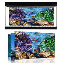 Beauty pet exhibition custom fish tank background Ocean Underwater World one rice sunshine sea fish tank mural HY1153