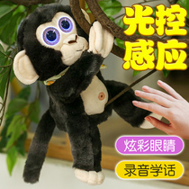 Childrens electric plush monkey can learn the tongue and talk simulation cat will be called smart animal music dance toy